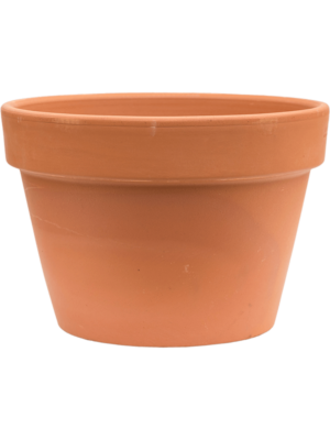 Flowerpot