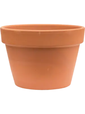 Flowerpot