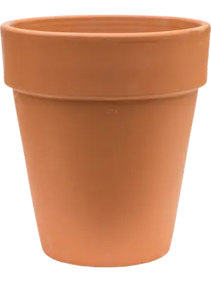 Flowerpot High