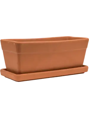 Set Balcony Box+ Saucer