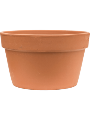 Flowerpot