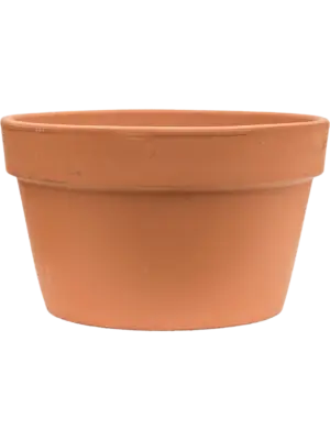 Flowerpot