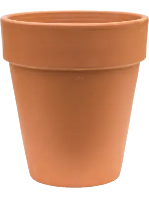 Flowerpot High