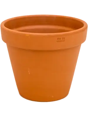 Flowerpot
