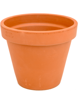 Flowerpot