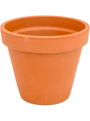 Flowerpot