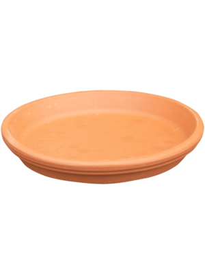 Saucer