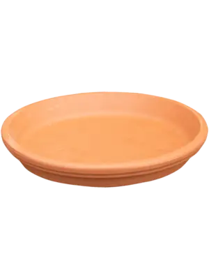 Saucer
