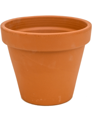 Flowerpot
