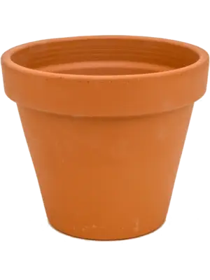 Flowerpot