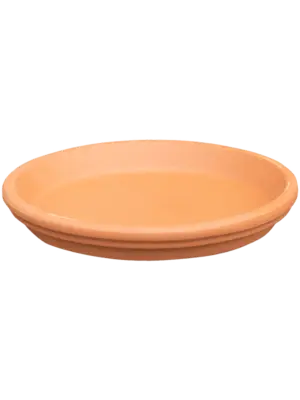 Saucer