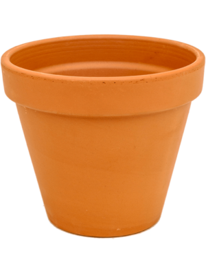 Flowerpot