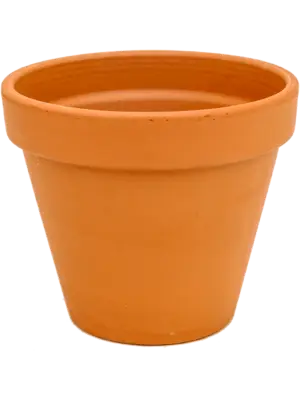 Flowerpot