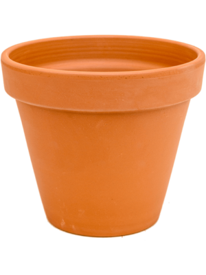 Flowerpot
