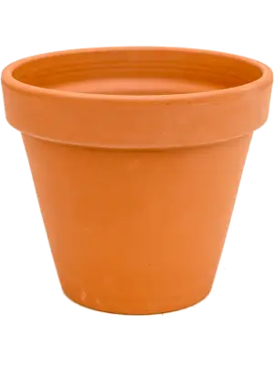 Flowerpot