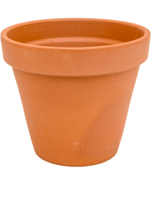 Flowerpot