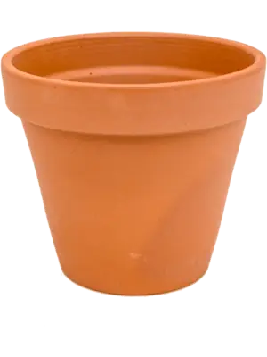 Flowerpot