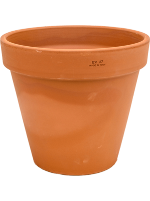 Flowerpot