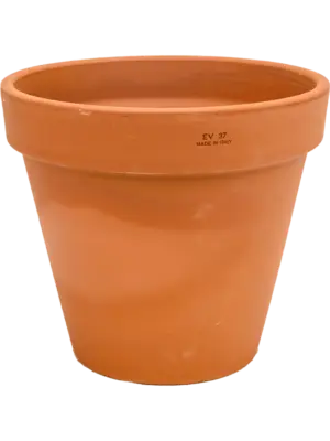 Flowerpot