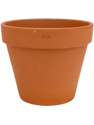 Flowerpot