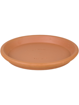Saucer