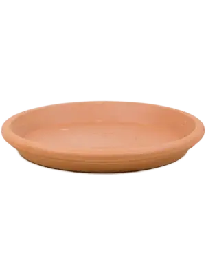 Saucer