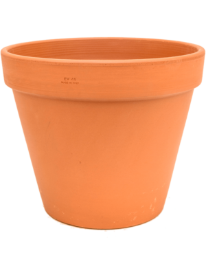 Flowerpot