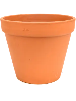 Flowerpot