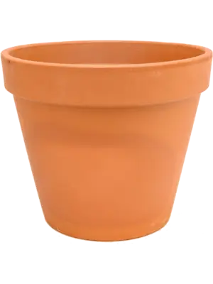 Flowerpot
