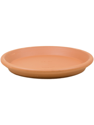 Saucer