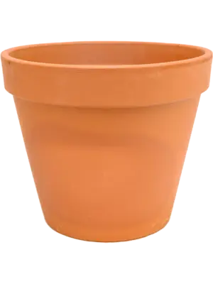 Flowerpot