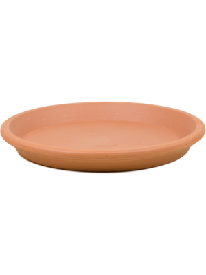 Saucer