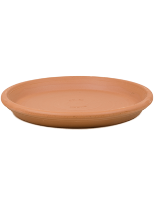 Saucer