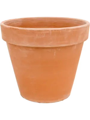 Flowerpot Antiques