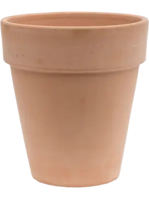 Flowerpot High Antiques