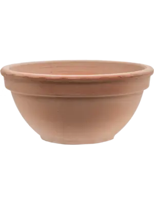 Bowl Antiques