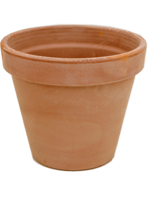 Flowerpot Antiques