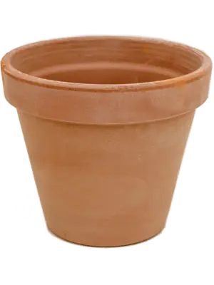 Flowerpot Antiques