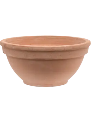 Bowl Antiques