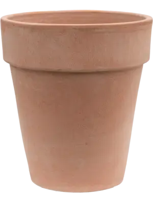 Flowerpot High Antiques