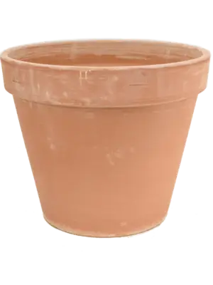 Flowerpot Antiques