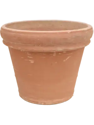 Doppio Bordo Antiques