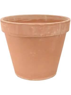 Flowerpot Antiques