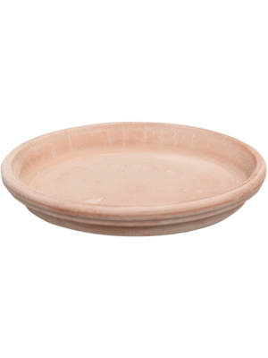 Saucer Antiques