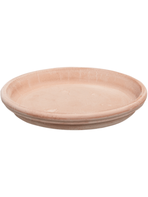 Saucer Antiques