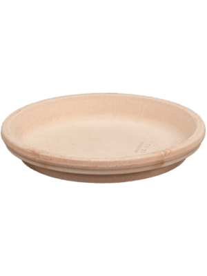 Saucer Antiques