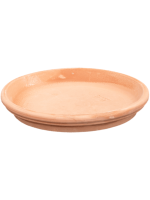 Saucer Antiques