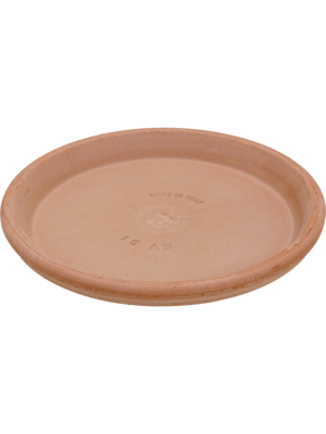 Saucer Antiques