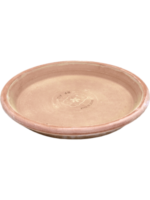 Saucer Antiques