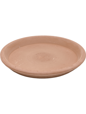 Saucer Antiques
